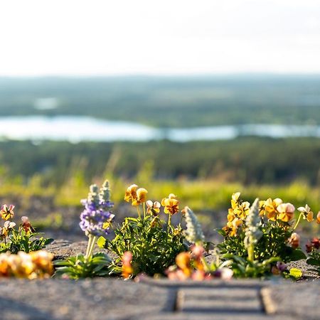 Holiday In Lapland - Levi Postintie 3B 322 Dış mekan fotoğraf